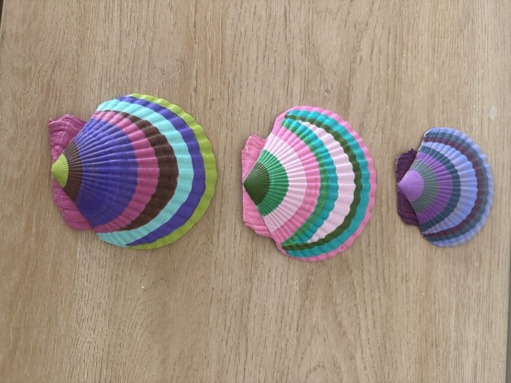 Tropical Rainbow Painted Scallop Trio