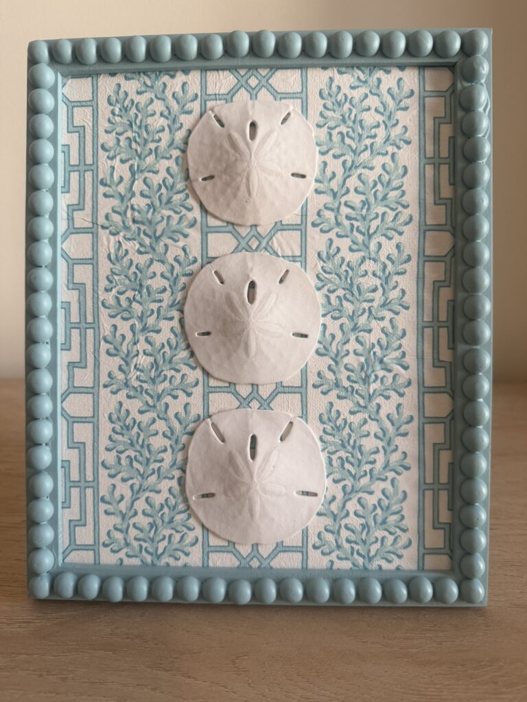 White Sand Dollar Trio on Coral and Lattice