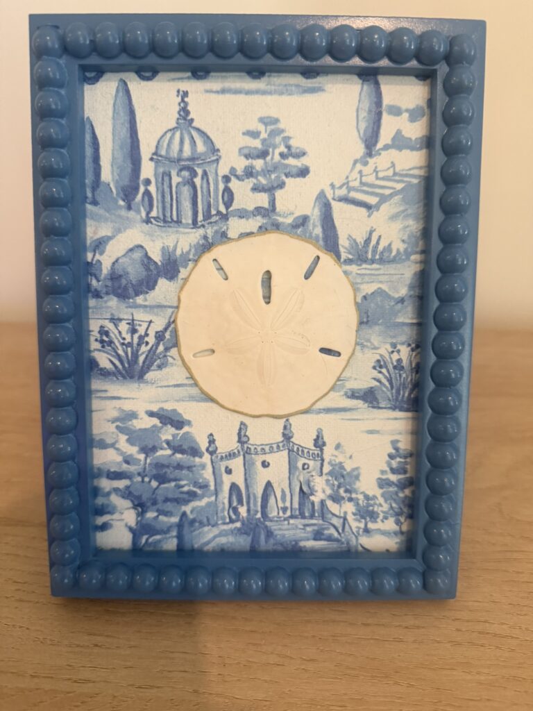 Sand Dollar on Blue Italian Garden Toile