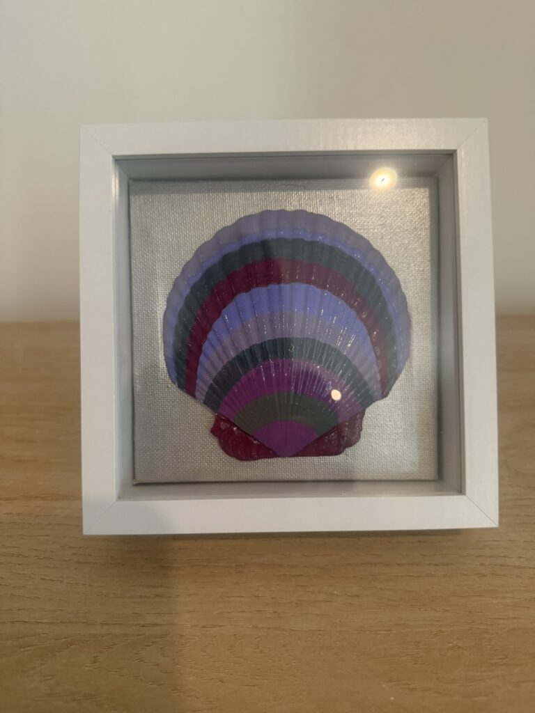 Amethyst Ombre Scallop in White Shadow Box