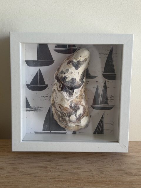 Natural Oyster on Navy Sailboat Print in White Shadow Box